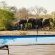 Zazu Private Bush Lodge - 261455
