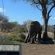 Zazu Private Bush Lodge - 261458