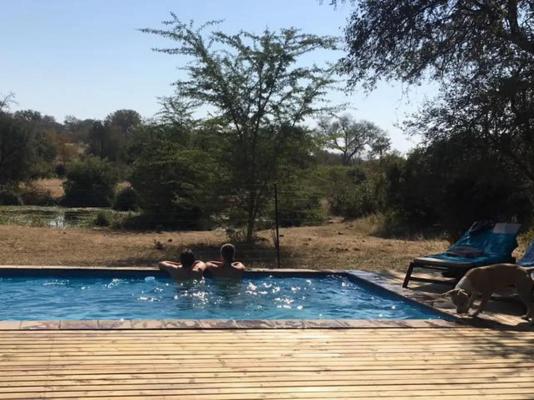 Zazu Private Bush Lodge - 261463