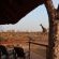 Zazu Private Bush Lodge - 261480