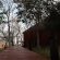 Zazu Private Bush Lodge - 261481