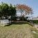 Soft Shore House C31 - Garden