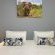 Addo Accommodation - 262017