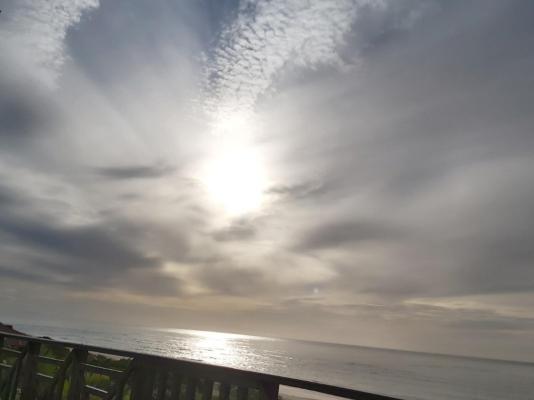 The Sparrow's Nest Beach Cottage - 262048