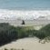 The Sparrow's Nest Beach Cottage - 262054