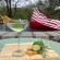 Mbazo & Dzombo Safaris - 262267
