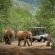 Mbazo & Dzombo Safaris - 262268
