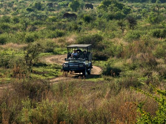 Mbazo & Dzombo Safaris - 262276