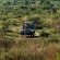 Mbazo & Dzombo Safaris - 262276