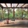 Mbazo & Dzombo Safaris - 262308