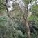 Fyndraai Guesthouse - Natural landscape