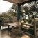Saringa Cottage