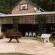 Magoebaskloof Mountain Estate - Property / Building
