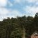 Magoebaskloof Mountain Estate - Natural landscape