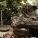 Magoebaskloof Mountain Estate - 263381