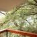 Magoebaskloof Mountain Estate - 263400