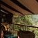 Magoebaskloof Mountain Estate - 263405