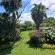 Birds of Paradise B&B - 263452