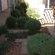 Sandstone Chameleon Guest House - 263838