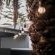 Durbanville Self Catering Apartments - Garden