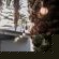 Durbanville Self Catering Apartments - Garden