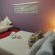 Clearview Estuary Apartments - 264354