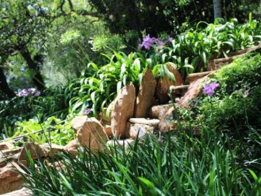 Gender Links Cottages - Garden