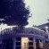 Bella Rosa - 264471