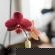Whale Away Guest House - 264956