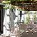 Whale Away Guest House - 264973