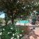 Winelands Villa Guesthouse and Cottages - 265072