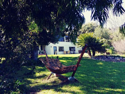 Winelands Villa Guesthouse and Cottages - 265074