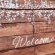 Be My Guest - 265401