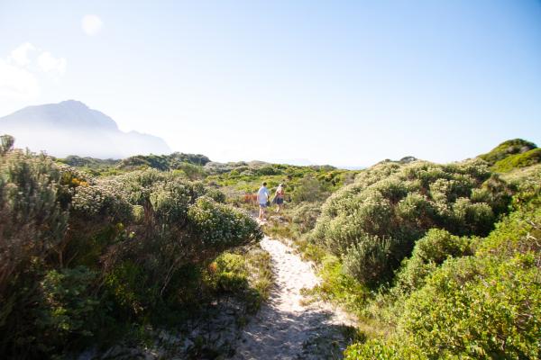 Betty's Bay Cottage - 265875