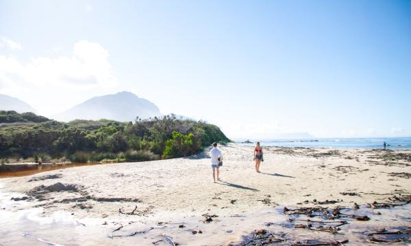 Betty's Bay Cottage - 265876
