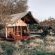 Honeyguide Khoka Moya Camp - 265881