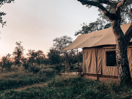 Honeyguide Khoka Moya Camp - 265890