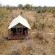 Honeyguide Khoka Moya Camp - 265909
