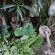 The Art Guesthouse - 266007
