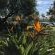 Belvidere Manor Lagoonside Cottages - Knysna - 267013
