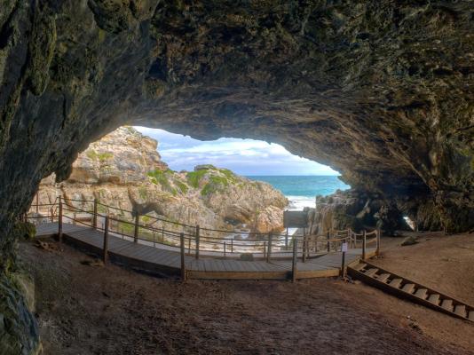 Sea Star Cliff - 267061