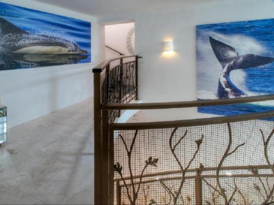 Sea Star Cliff - 267063