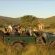 Hopewell Private Game Reserve