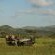 Amakhosi Lodge - 267215