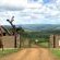 Amakhosi Lodge - 267218