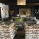 Amakhosi Lodge - 267226
