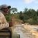 Amakhosi Lodge - 267230