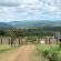 Amakhosi Lodge - 267234