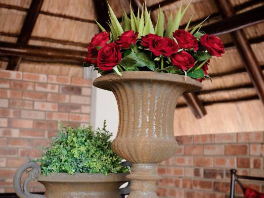 Abella Bed and Breakfast - 267298