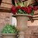 Abella Bed and Breakfast - 267298